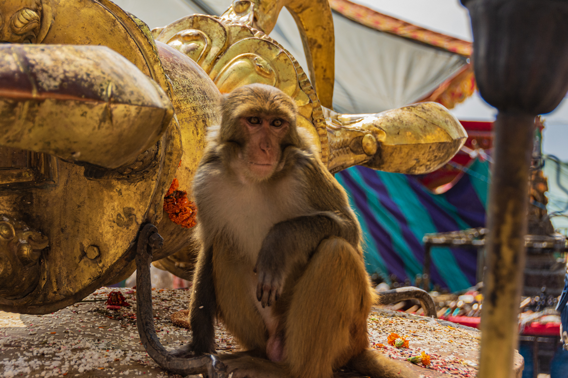 Kathmandu Swayambunath